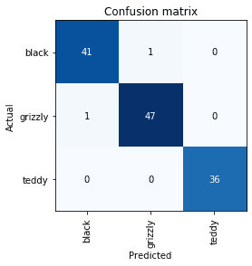 notebook output